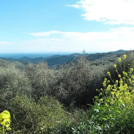 Апартаменты By Interhome